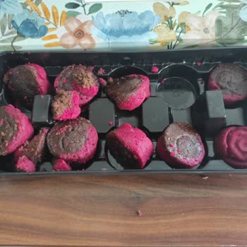 ÇiçekSepeti Müşteri Hizmetleri Ve Kargo Süreci