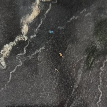 Erpiliç Tavuk Dönerden Kıl Çıktı