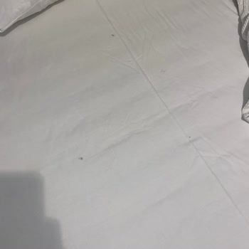 Etstur'dan Güvenerek Aldığım Pis Otel Pis Oda Ücretin İade Edilmemesi