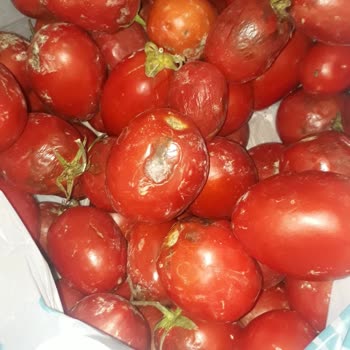 A101 Kapıda Ödeme Kusurlu Ürünler