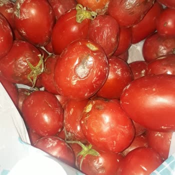 A101 Kapıda Ödeme Kusurlu Ürünler