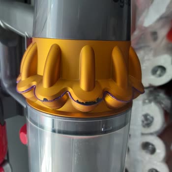Dyson Ana Gövde Renk Soyulması