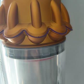 Dyson Ana Gövde Renk Soyulması
