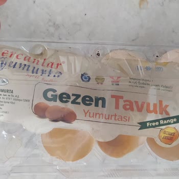 Ercanlar Yumurta Civciv Çıkıyor