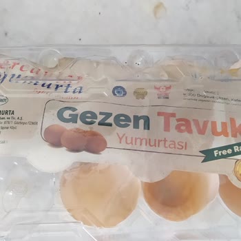 Ercanlar Yumurta Civciv Çıkıyor