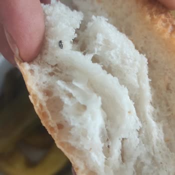 A101 Ekmeğin İçerisinden Böcek Çıktı