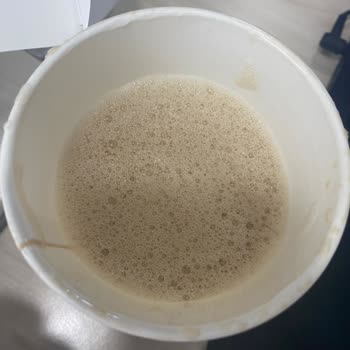 Starbucks Kıl Çıktı Ve Kahve Yarım