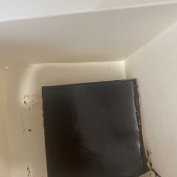 Starbucks Kıl Çıktı Ve Kahve Yarım