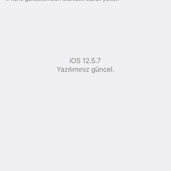 iPhone 6 Plus'a Güncelleme Gelmiyor