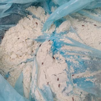 Dip Gross Aldığım Unların İçinden Böcek Çıkıyor