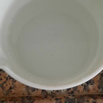 Manisa Büyükşehir Belediyesi Şebeke Suyundan Kum Geliyor
