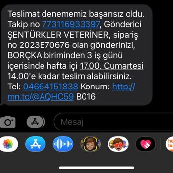 Artvin Borçka MNG Şubesi Kargo Sorunu