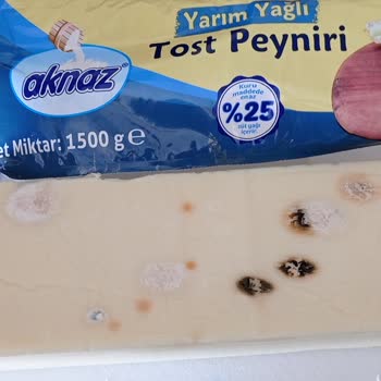 BİM Den Alınan Küflü Tost Peyniri