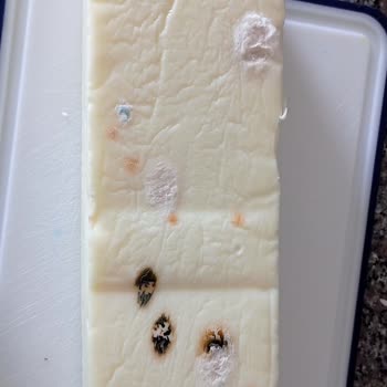 BİM Den Alınan Küflü Tost Peyniri