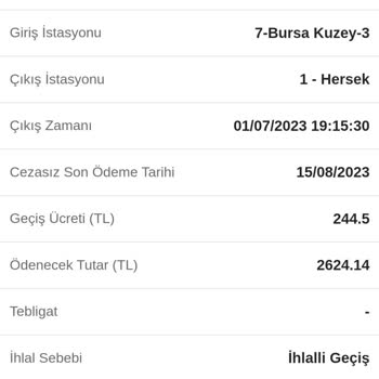 HGS Bakiyesinin Yüklenmesine Rağmen Çekilmeyip Ceza Yansıması