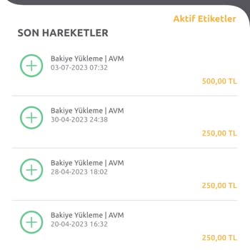 HGS Bakiyesinin Yüklenmesine Rağmen Çekilmeyip Ceza Yansıması