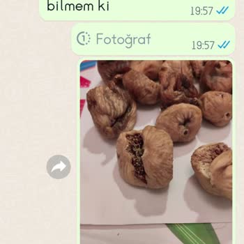 İncircenneti.com Dan Alınan İncirler