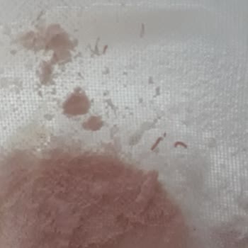 BİM Efsane Un Kurtlu Çıktı