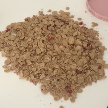 Kellogg's Kırmızı Meyvelerden Çıkmayan Meyveler