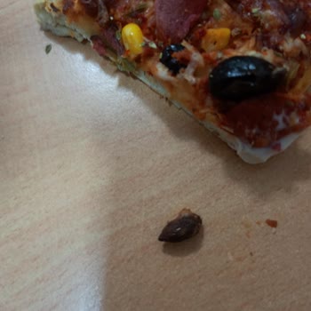 Superfresh Pizzada Zeytin Çekirdeği Kalması!