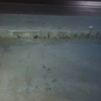 A101 İzmir Özdere Mağaza Girişi Hk.