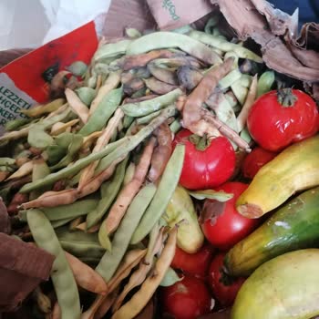 Sürat Kargo Kargo Şubesi Hizmetleri Sorunu