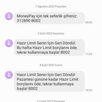 MoneyPay Borcu Ödenen Hazır Limiti Açmıyor