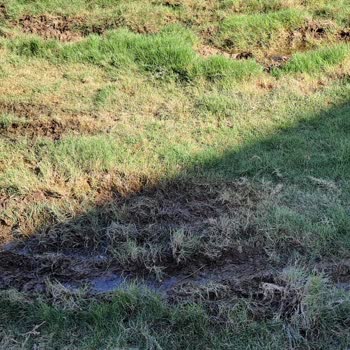 Halal Paradise Didim Mağduriyeti