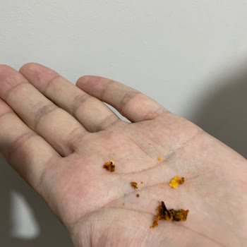 Fritolay Doritos Cipsten Yabancı Madde Çıktı!