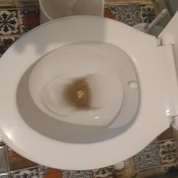 Club Hotel Anjeliq Paramızı Çöpe Attık