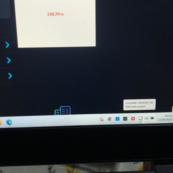 LinyitNet İnternet Hızı Ve Ping Sorunu