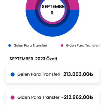Elekse Ödeme Kuruluşu Hoppa Cüzdan Parama El Koydu