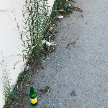 Bayraklı Belediyesi Sokaklar Temizlenmiyor Çöpler Alınmıyor