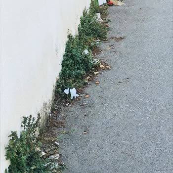 Bayraklı Belediyesi Sokaklar Temizlenmiyor Çöpler Alınmıyor