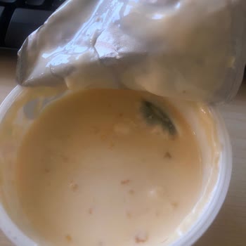 Sek Süt Ambalajlı Yoğurt Küflü