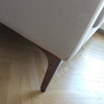 Alfemo Küflü Ve Zedelenmiş Koltuklar