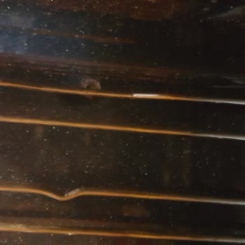 Samsung Ankastre Fırın Kullanıcı Hatası Deyip Garantiye Girmez Diyor