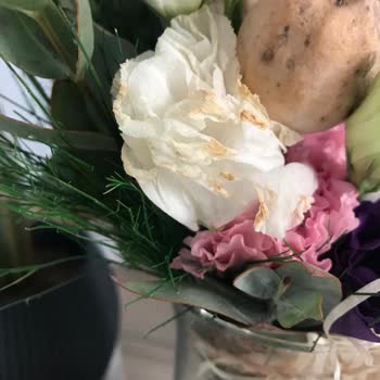 Taze Çiçek (tazecicek.com) Çiçeklerin Uçları Kararmaya Başlamış Ve Solgun.