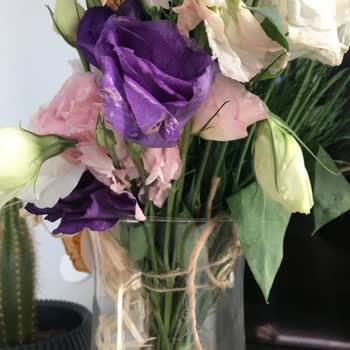 Taze Çiçek (tazecicek.com) Çiçeklerin Uçları Kararmaya Başlamış Ve Solgun.