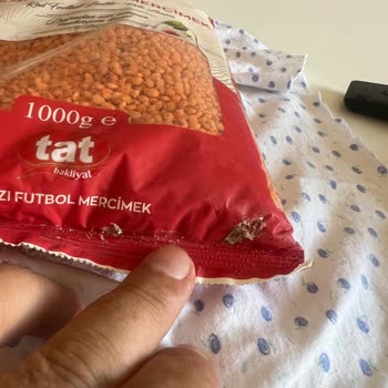 Tat Bakliyat Tat Mercimekte Böcek