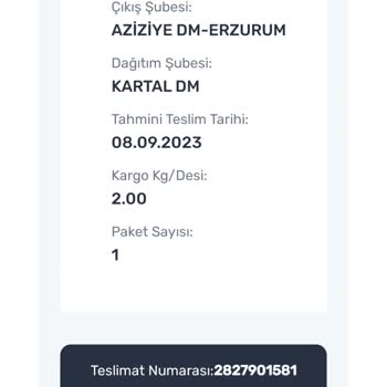 Sendeo Kargom Yolda Gözüküyor, Fakat Kaybolduğu Söylüyorlar