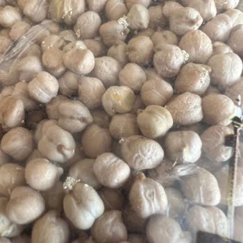 Hünkar Bakliyat Mercimek Ve Nohut Böcekli Ürün