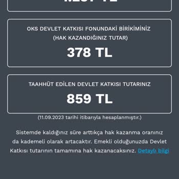 Emeklilik Gözetim Merkezi BES Kesintisi Eksik!