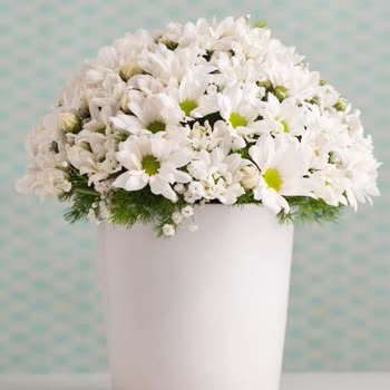 Çiçek Sepeti 1. Fotoğraf Sipariş Verilen 2. Teslim Edilen. Yorumsuz!