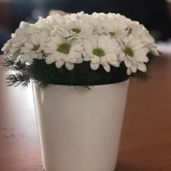 Çiçek Sepeti 1. Fotoğraf Sipariş Verilen 2. Teslim Edilen. Yorumsuz!