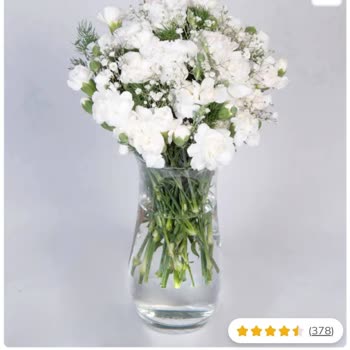 ÇiçekSepeti Çiçeklerde Tek Benzer Taraf Beyaz Olmaları