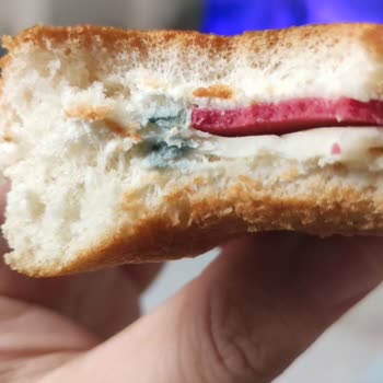 BİM'den Aldığım Küflü Sandviç