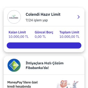 MoneyPay Hazır Limit Sorunu