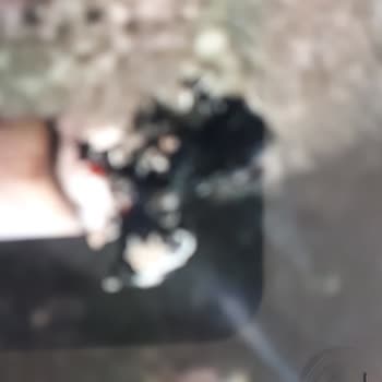 Flip Morris Winston Slims Gray