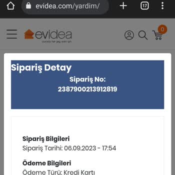 Scotty Kargo Firmasının Ciddiyetsizliği